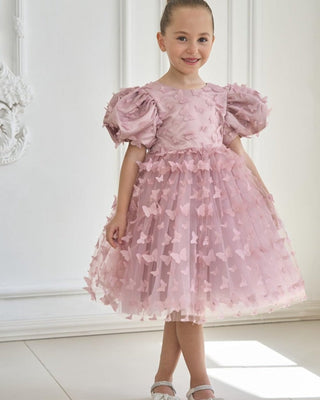 Satin Tulle Embroidery