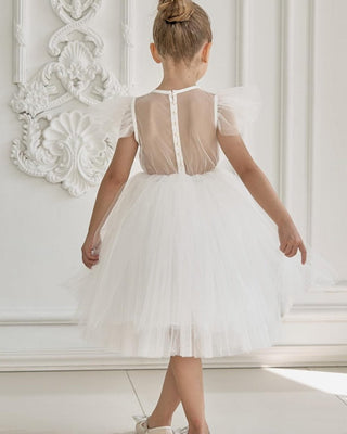 Sheer Back Mesh Backless