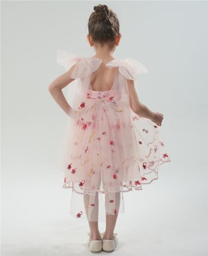Floral Embroidered Tulle Girl Dress in Pink Strawberry Knee