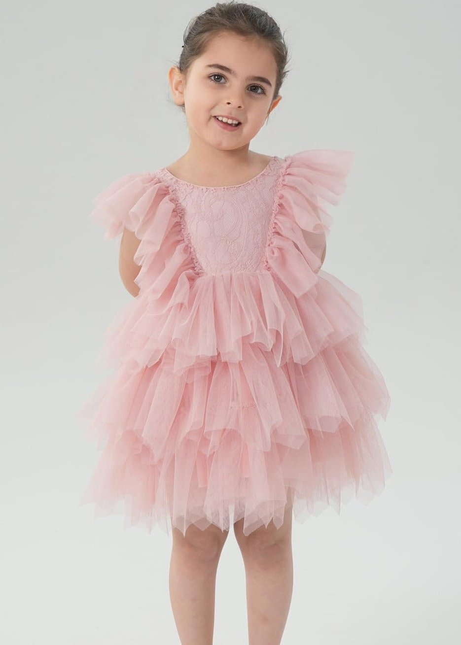 Paisley Lace Flower Girl Dress in Pink