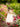 2Bunnies Flower Girl Dress Paisley Lace Back A-Line Short Sleeve Straight Tulle Maxi (Ivory) - 2BUNNIES