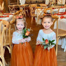 2Bunnies Flower Girl Dress Rose Lace Back A-Line Long Sleeve Straight Tulle Maxi (Burnt Orange) - 2BUNNIES